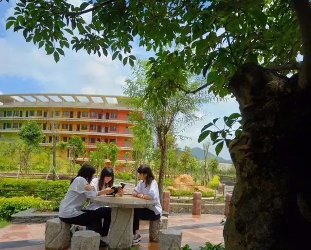 详情 中山中等专业学校 三角梅绽放时美不胜收 最美中职学校 环境美学